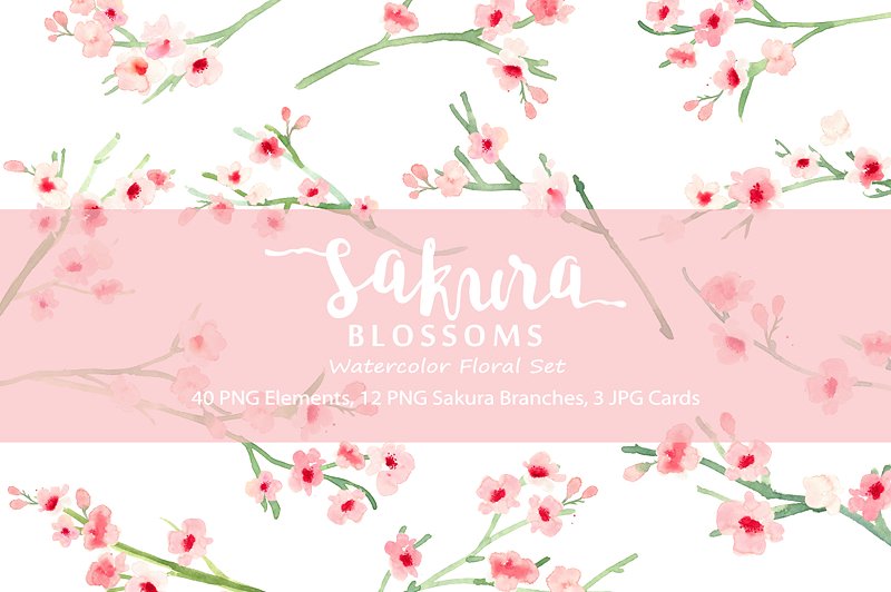 水彩樱花花卉插画素材合集 Sakura Blossoms – Watercolor Clipart插图(4)