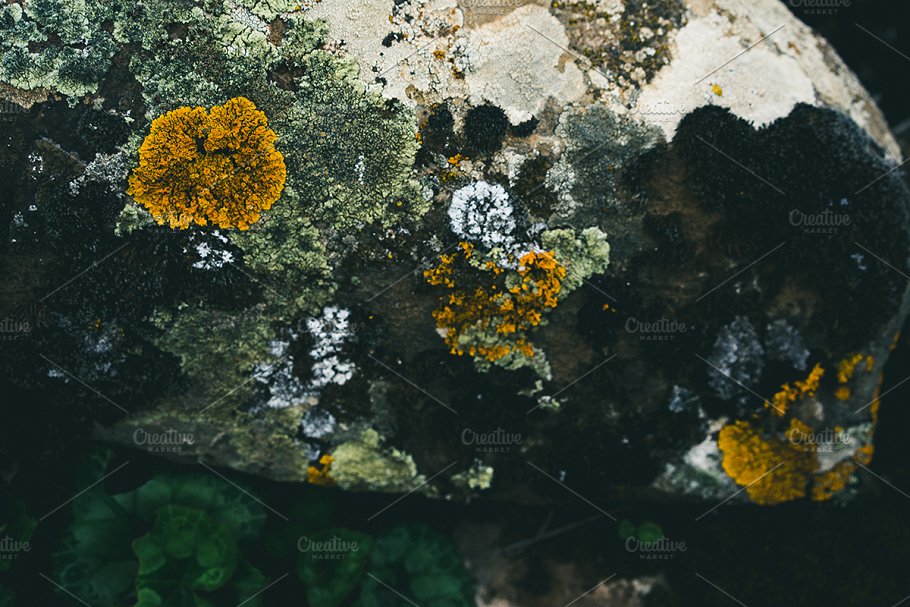 高清自然真实岩石石头照片素材 Rock Solid – Rock & Stone Collection插图(8)