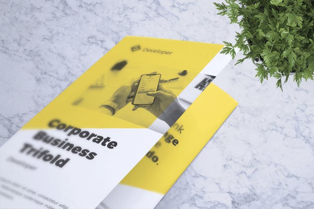 三折页尺寸企业宣传传单设计模板v16 Corporate Business Flyer Vol. 16插图(3)