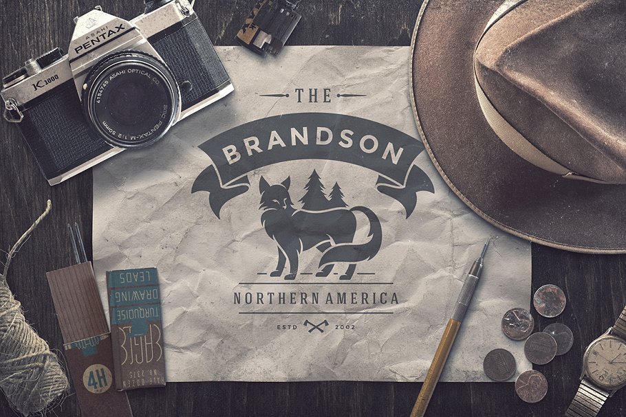 50款户外品牌Logo徽标设计模板 50 Outdoor logos and badges插图(14)