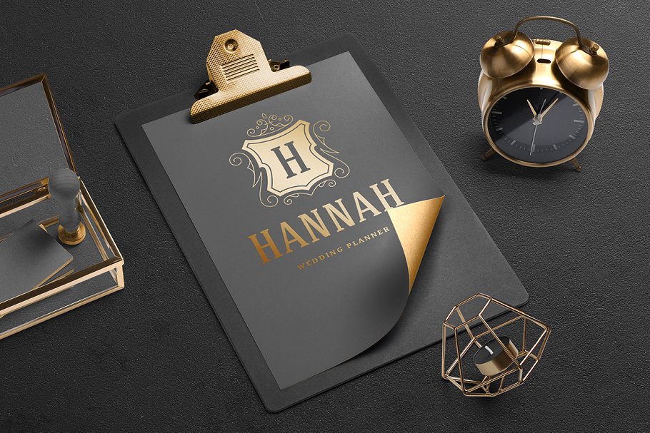 500个复古装饰风格Logo和徽章模板 500 ornaments logos & monograms插图(4)