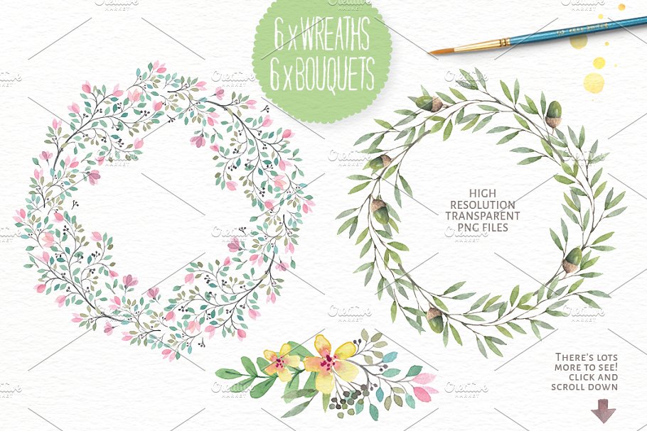 水彩动物&花卉插画合集 Watercolor animals & flowers vol 3插图(2)