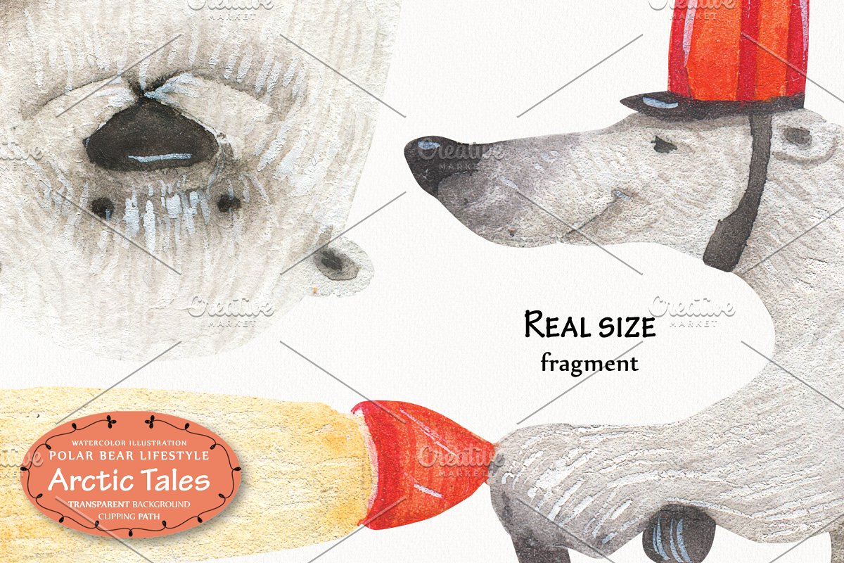 可爱北极熊故事水彩插画素材插图