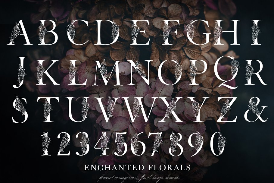 魔法花卉装饰字母创意字母集 Enchanted Florals Monogram Set插图(1)