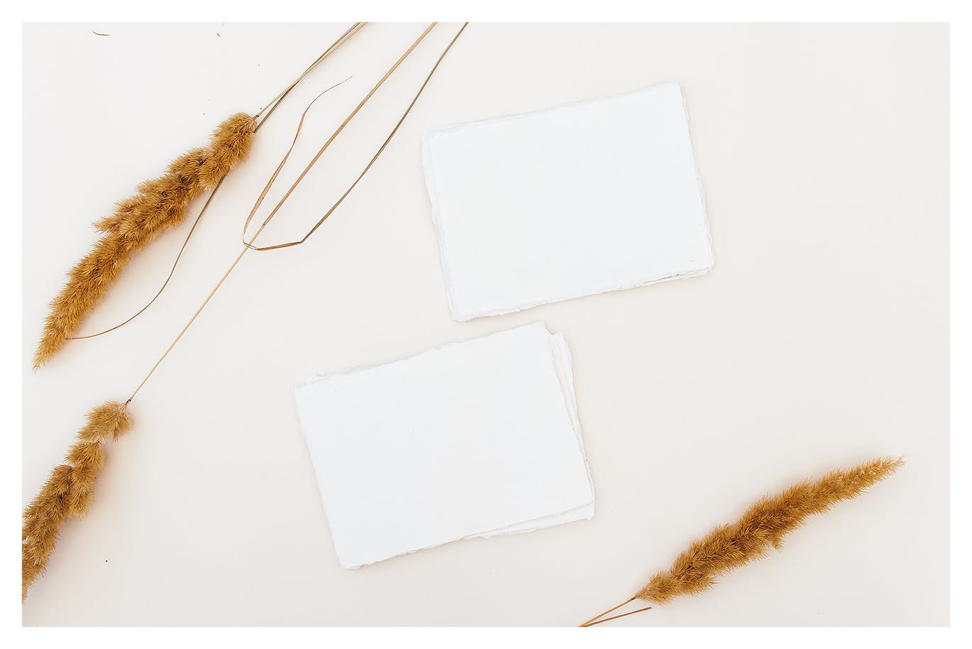 野花装饰背景卡片贺卡设计效果图样机 Wildflowers Cards Mockup插图(5)