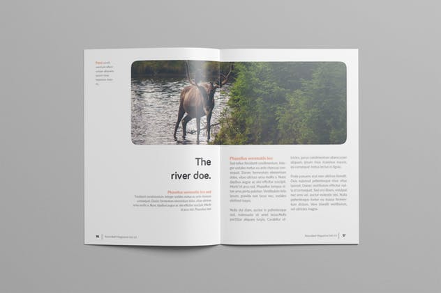 多用途杂志/画册/企业内宣INDD设计模板 Rounded Magazine插图(8)