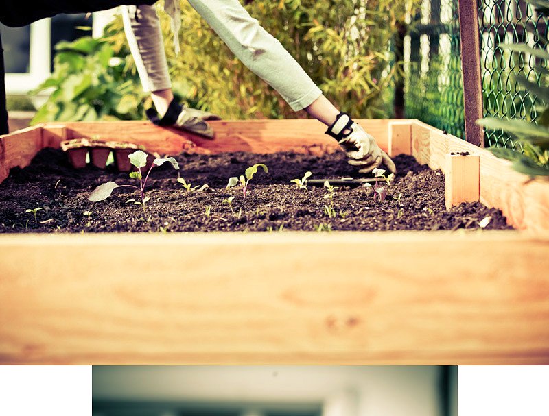 城市园林高清照片素材 Urban Gardening 30xHiRes – SET 2插图(1)