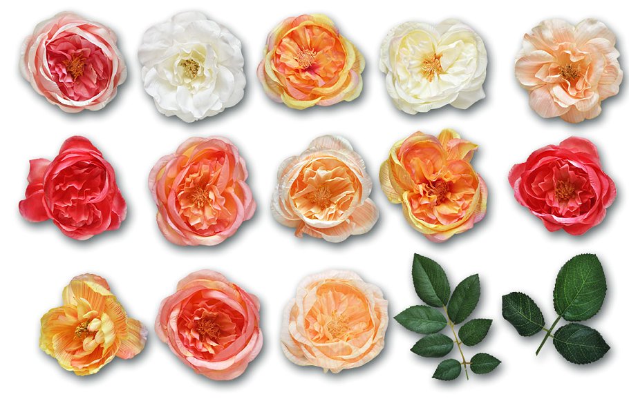 农舍花园绢花剪贴画 Cottage Garden Silk Flowers Graphics插图(2)