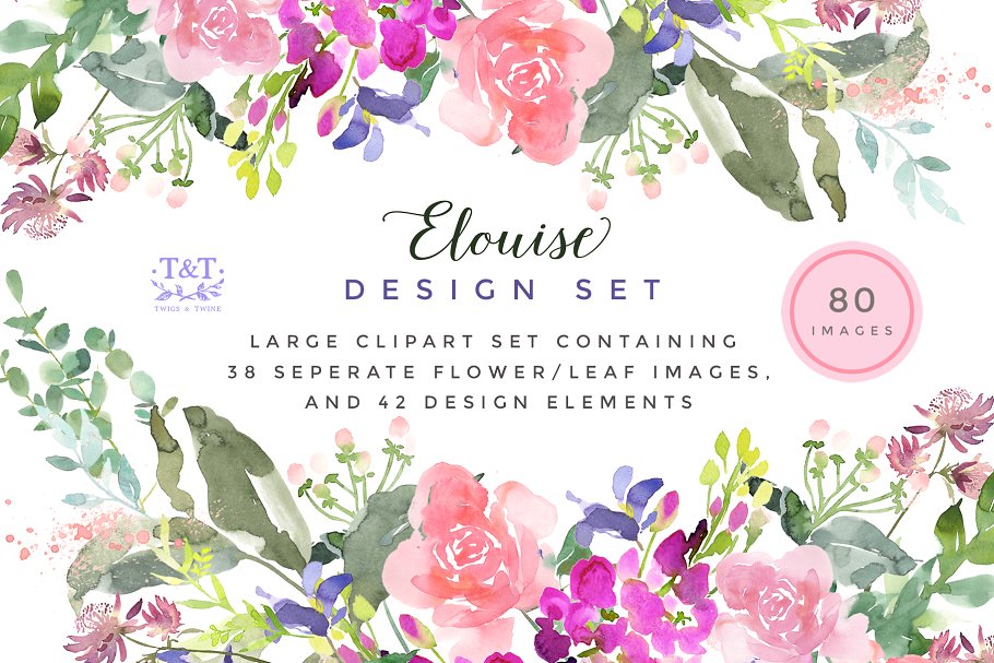 埃洛伊斯水彩花卉剪辑集 Elouise – Flower Clipart Set插图