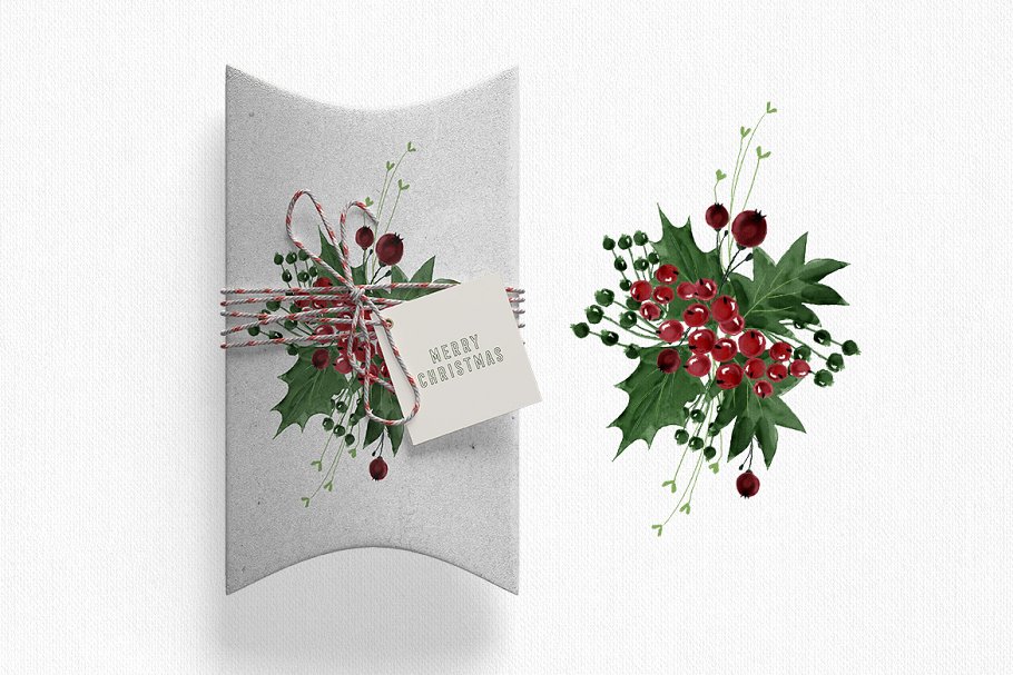 圣诞节主题手绘花卉素材集 Christmas Time Collection插图(2)