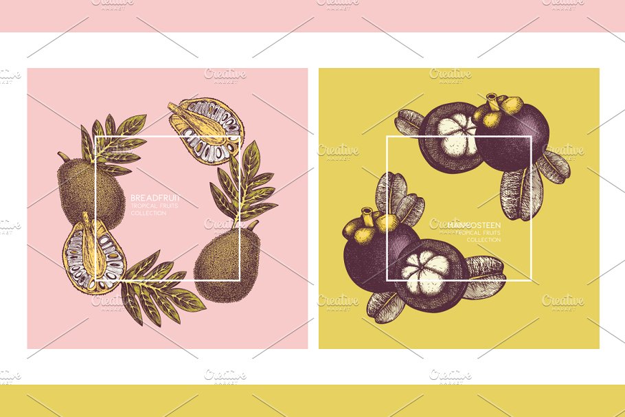 热带水果和植物图案纹理 Tropical Fruits & Plants Patterns插图(7)