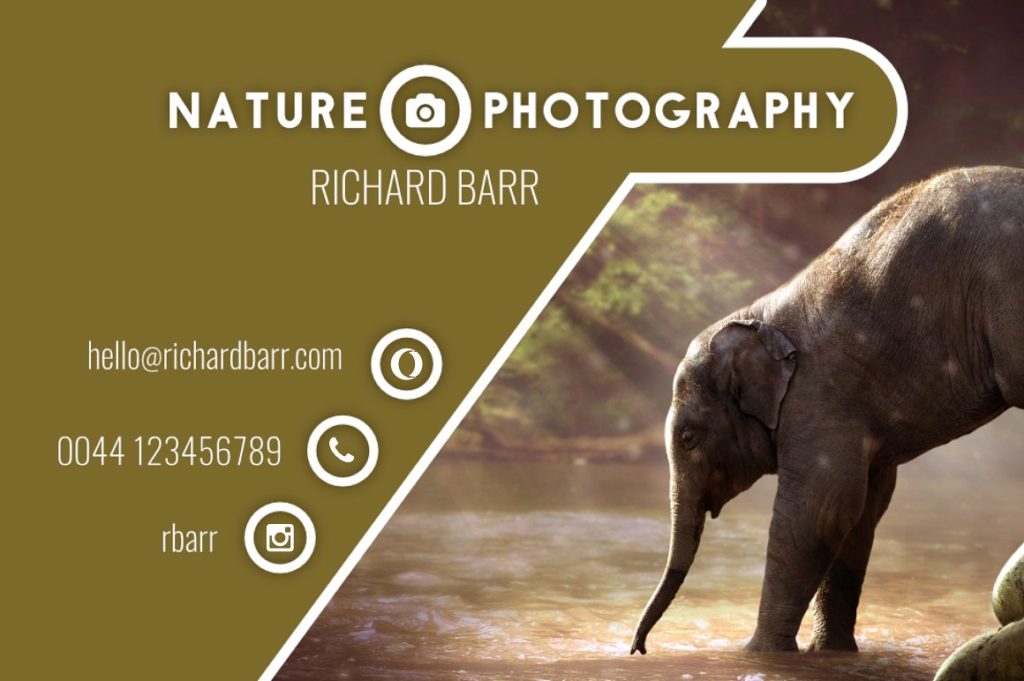 一组免费摄影师的名片模板下载[eps,psd,svg,png]插图(2)