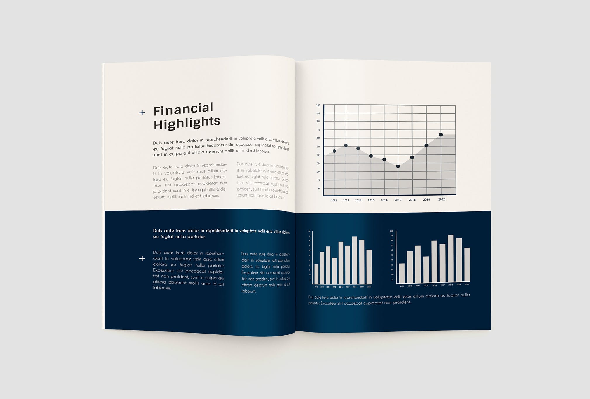 企业年度报告/年终总结报告设计模板 Annual Repot Company Name插图(7)