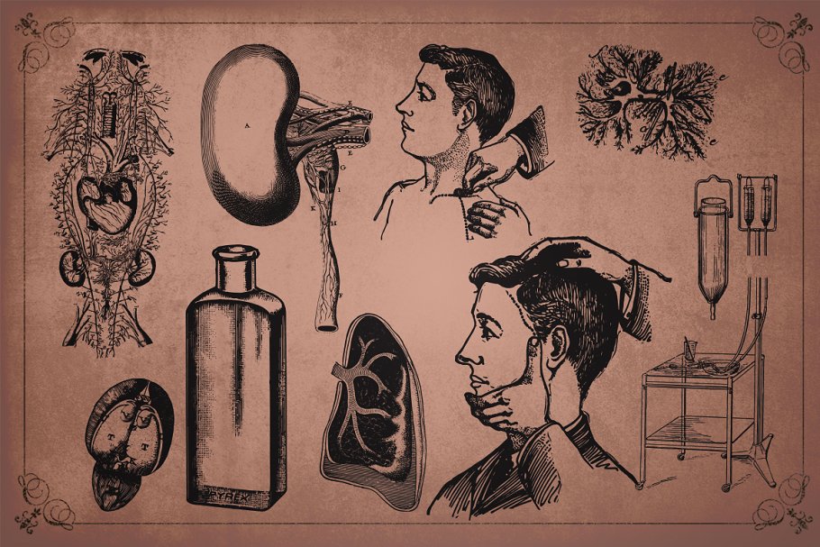 旧时代解剖医学插图素材 Medical Art | 110 EPS, PNG and JPG’s插图(8)