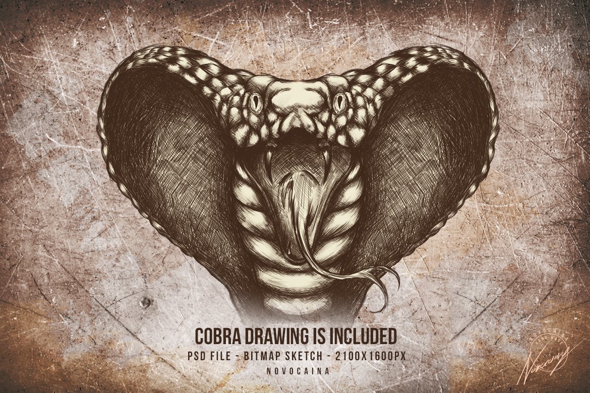 泰国特色菜餐馆菜单设计模板合集 Spicy Cobra Thai Food Menu Bundle插图(11)