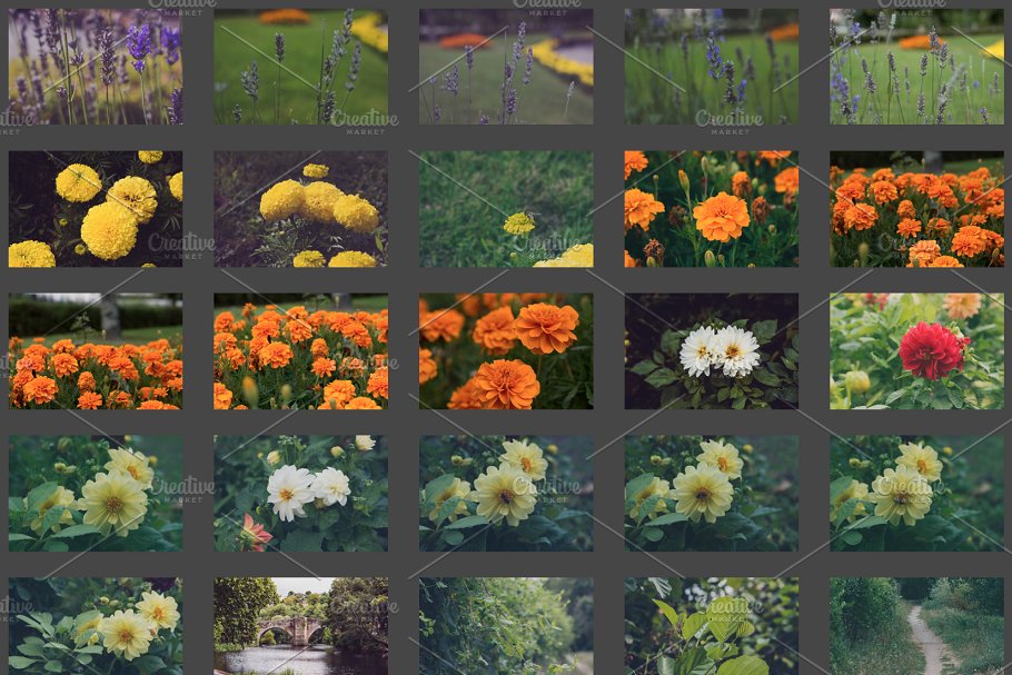 花园取景高清照片素材 garden park photo pack插图(4)