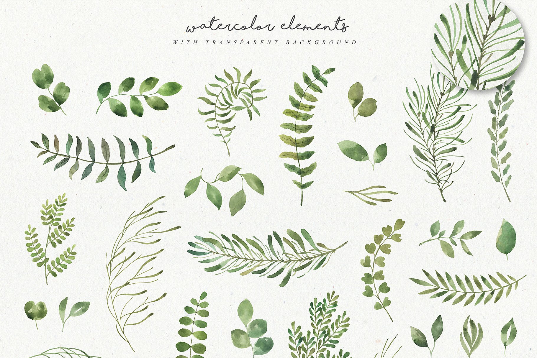 水彩树叶元素、相框、纹理素材包 Leafy Leaf Collection插图(5)