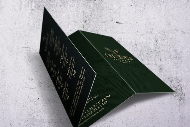 酷黑现代简约风格A4三折页菜单设计模板 Cassiopeia A4 Trifold Menu插图(1)