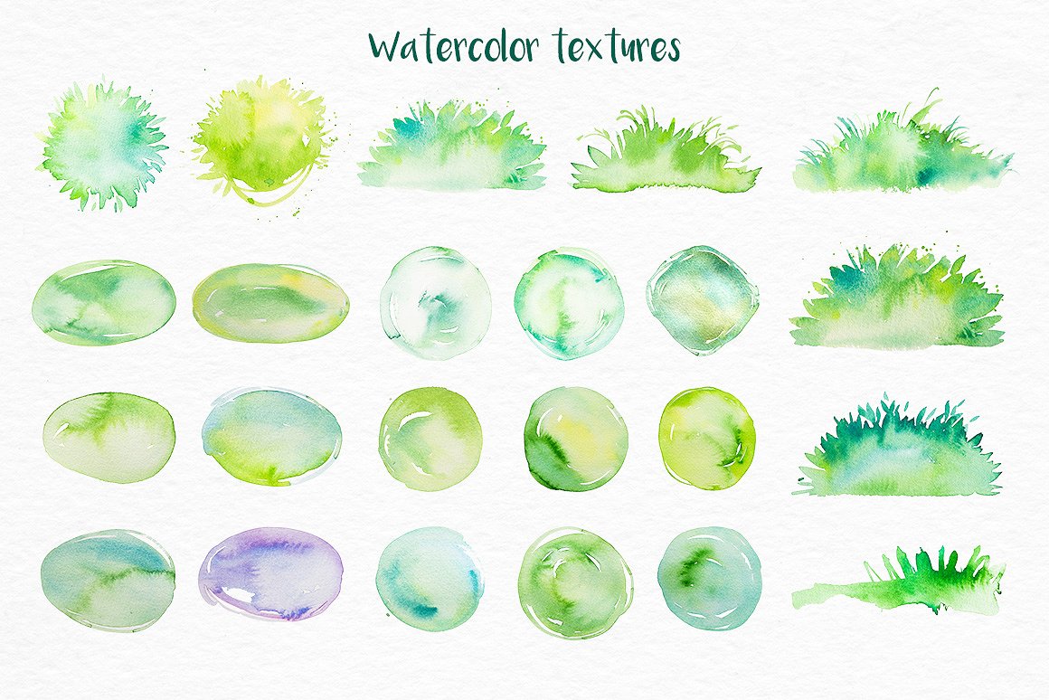 手绘仙人掌水彩插图集合下载 1.31 GB[ai,png,jpg]插图(7)