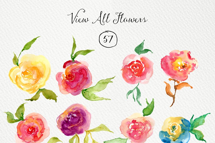 手绘水彩玫瑰图形元素 Watercolor Roses DIY插图(1)
