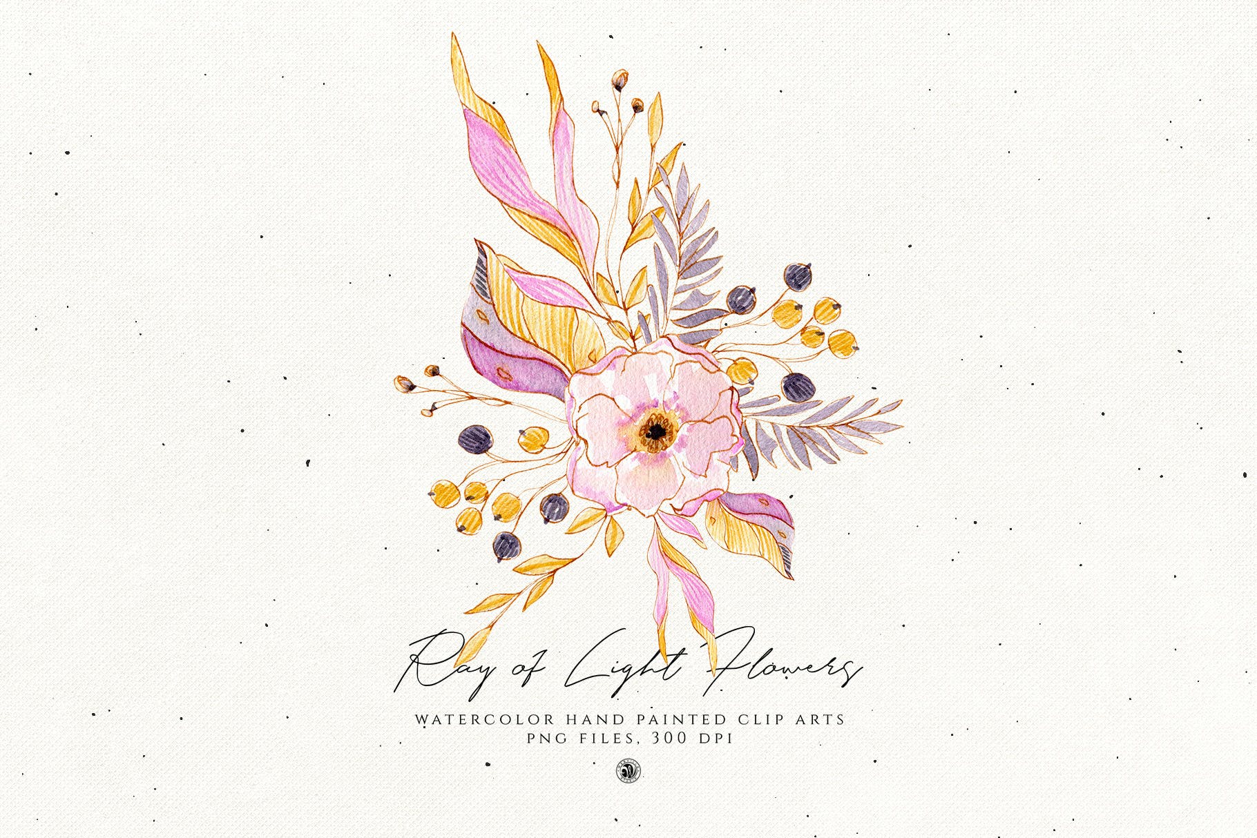 浅色优雅水彩手绘花卉剪贴画PNG素材 Ray of Light Flowers插图(1)