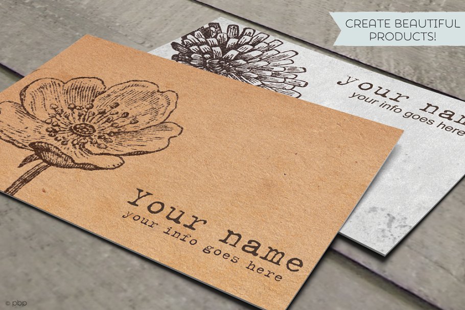 复古手绘动植物水彩插图 Vintage Vector Illustrations插图(3)