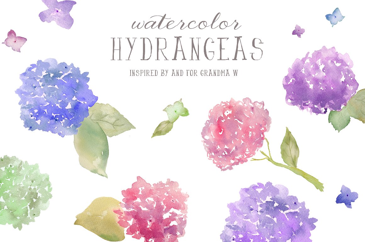 可爱的蓝色水彩绣球花剪贴画 Watercolor Clip Art- Hydrangeas插图