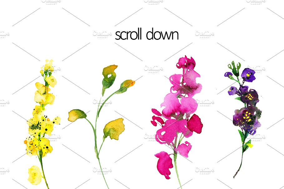 紫罗兰水彩剪贴画合集 Purple Violet Flowers Clipart Set插图(1)