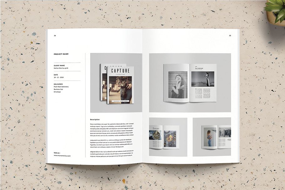 多用途时尚摄影/产品宣传册插图(5)