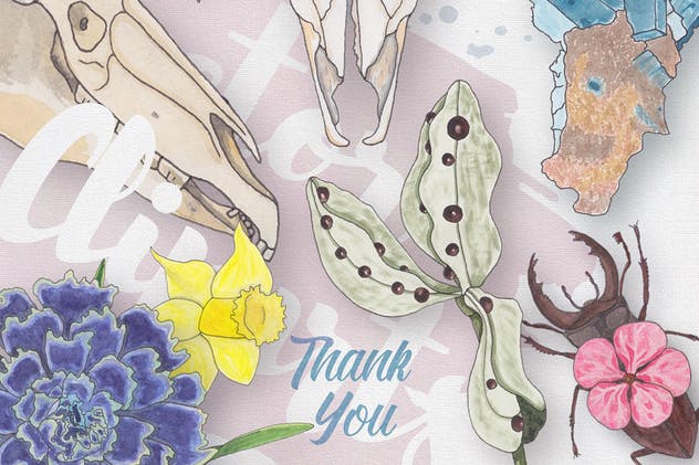 生物系列水彩手绘插画合集Vol.1 Watercolor Creatures vol. 1插图(6)