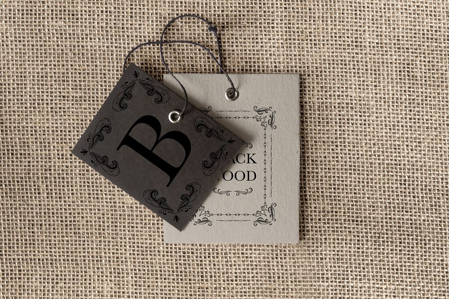 手绘花纹设计套件（400 +花卉设计元素） Hand Drawn Flourish Design Kit插图(16)