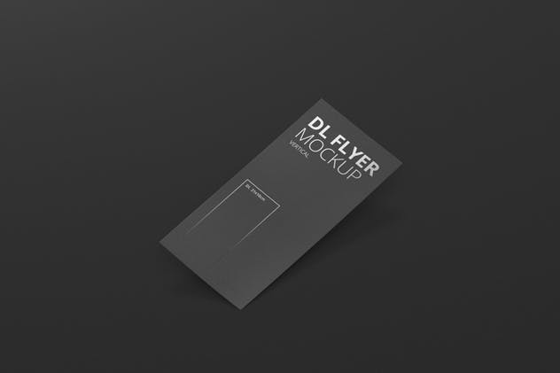 品牌DL传单印刷品样机模板 DL Vertical Flyer Mockup插图(8)
