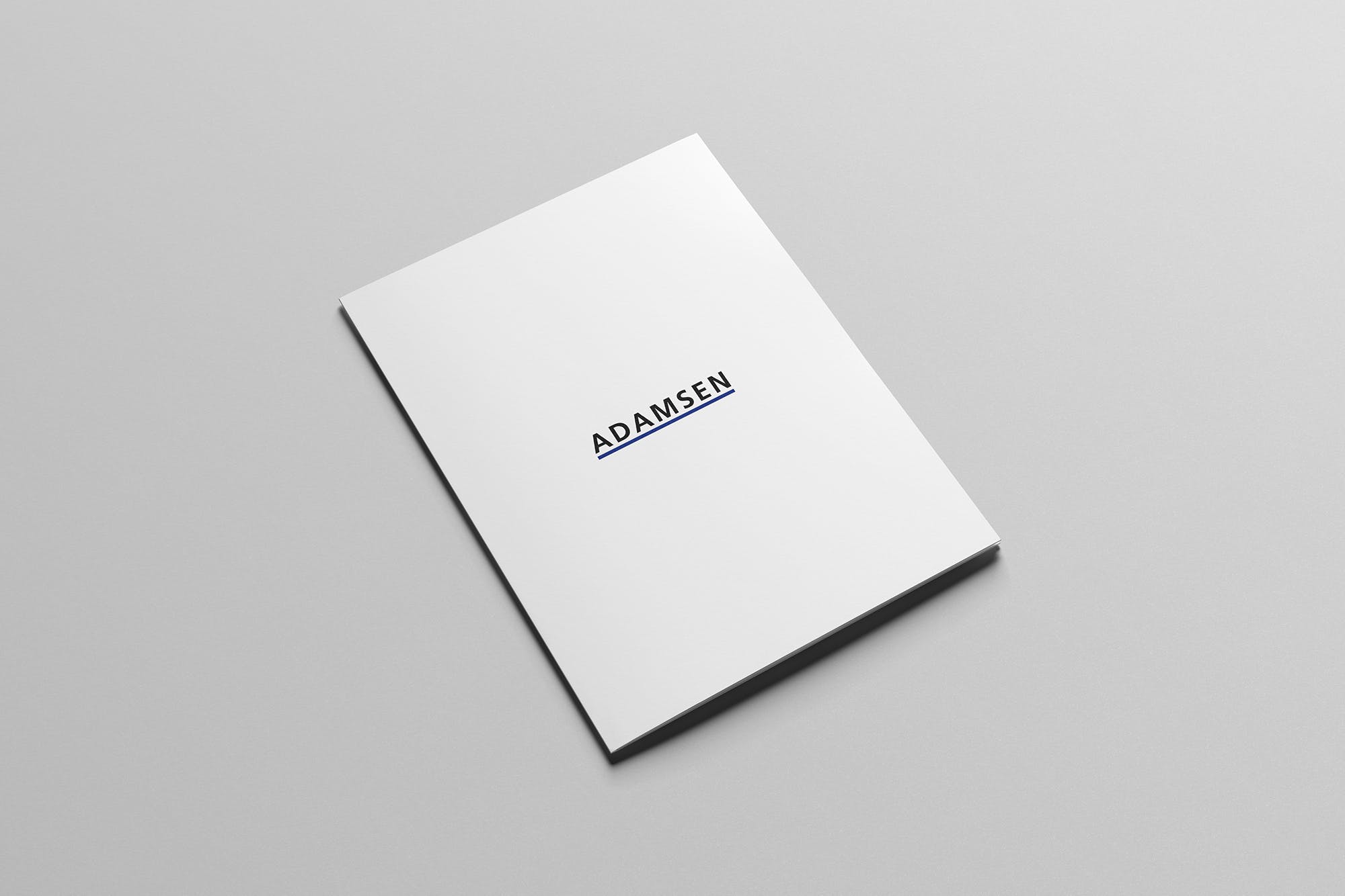 品牌VI设计预览办公用品标准套件素材库精选模板v2 Branding / Stationery Mock-Up插图(2)