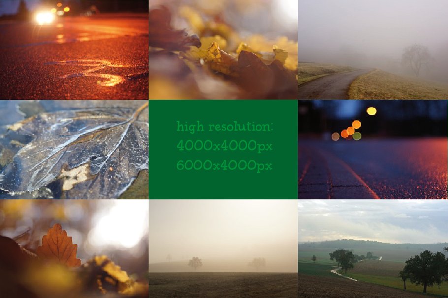 霜降和大雾高清照片合集 Frost&Fog Photo Bundle插图(2)