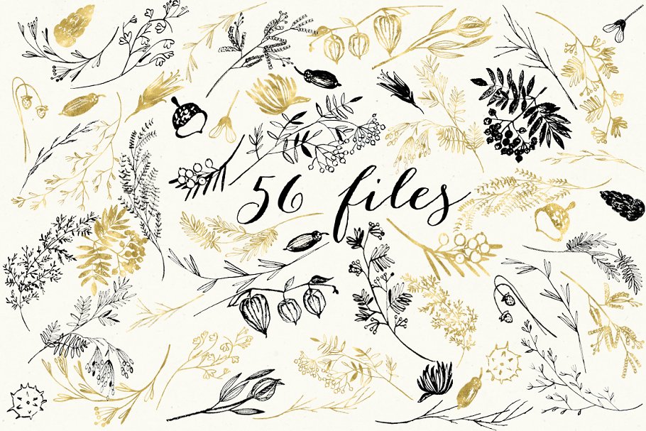 秋天风格墨水画花卉剪贴画 Florygraphy. Autumn. Ink clipart插图(2)