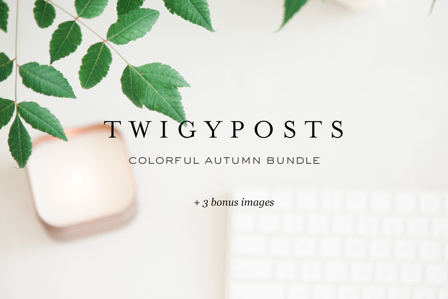 秋季简约实物场景样机模板 Colorful Autumn Stock Photo Bundle插图(2)