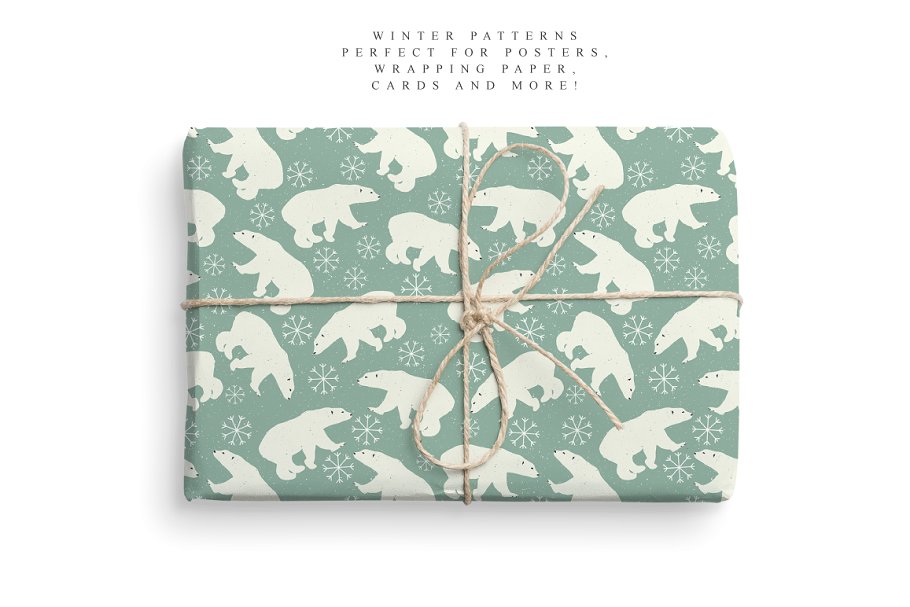 冬季主题重复图案无缝背景纹理 Winter Patterns Set Pro插图(1)