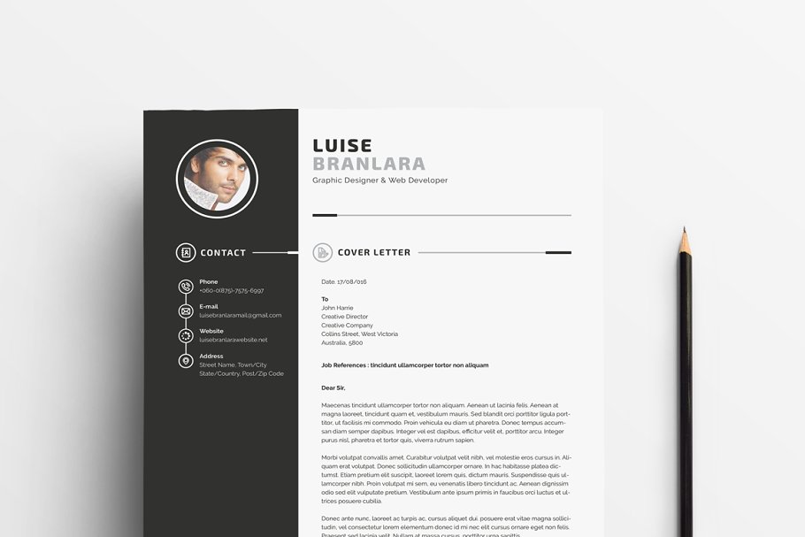 个人简历模板下载 Professional Resume/CV插图(3)