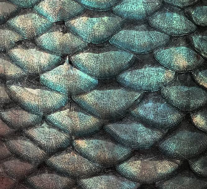 精美的玫瑰金彩虹色调有机图案纹理 Petrol Depths in Gold & Iridescence插图(3)