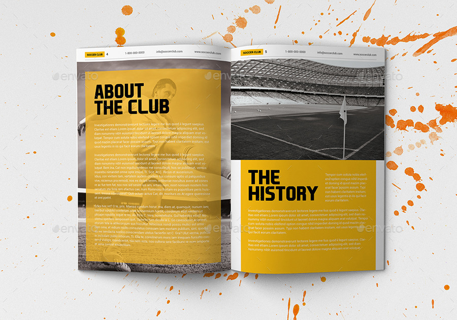 多用途足球俱乐部特色小册子插图(3)