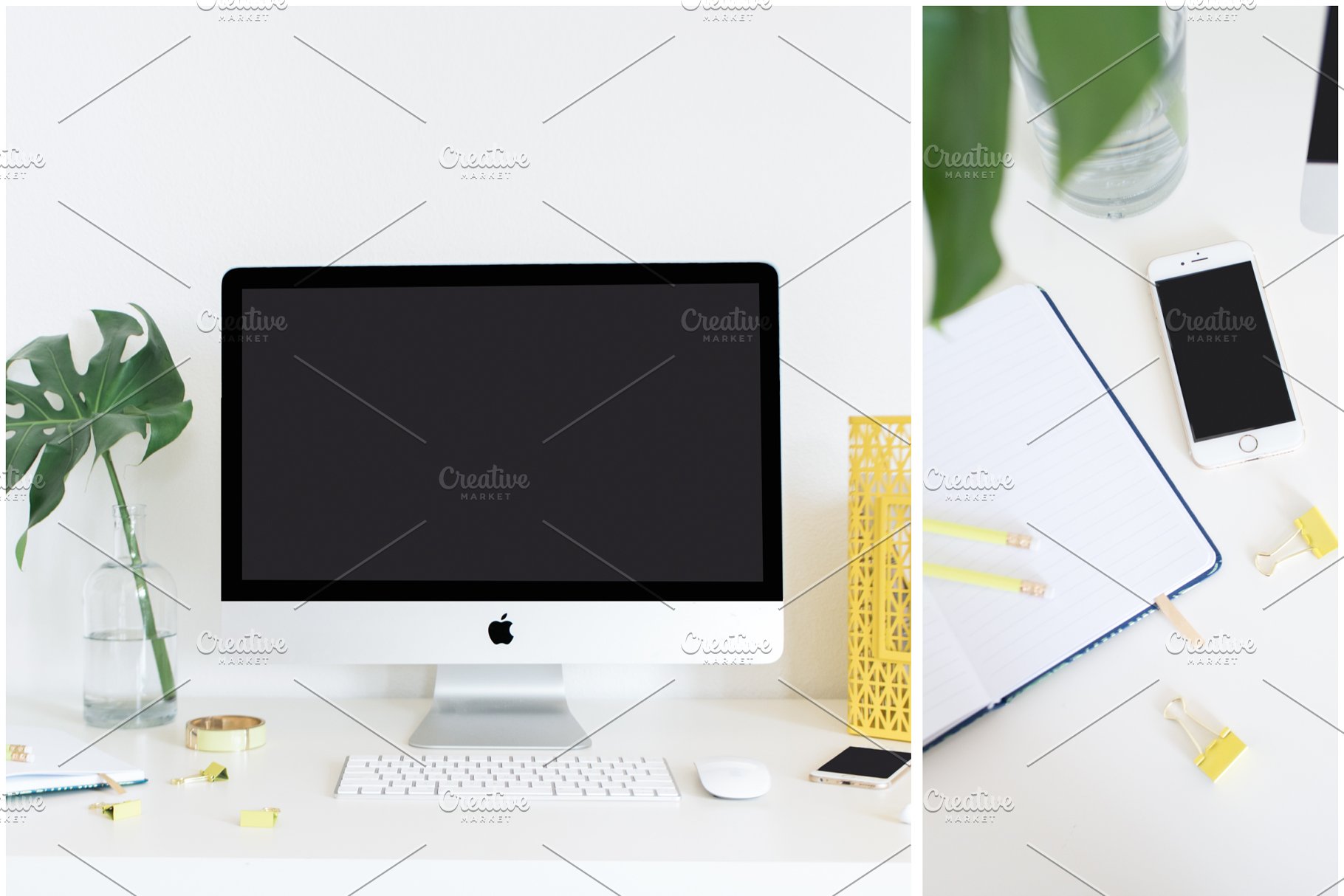 小资格调场景样机合集 MASSIVE Tropical Stock Photo Bundle插图(4)