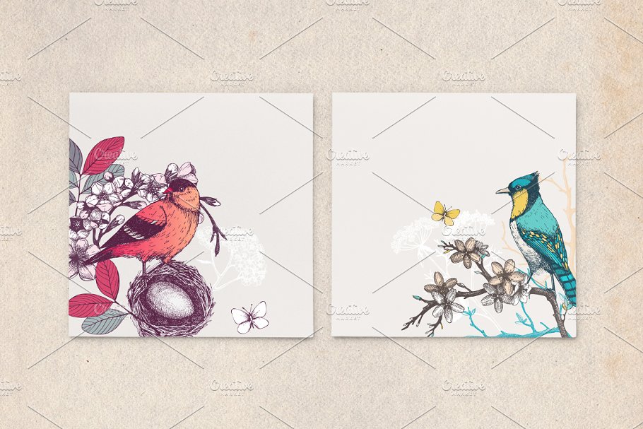 春季手绘小鸟自然元素 Hand Drawn Spring Birds Patterns插图(6)