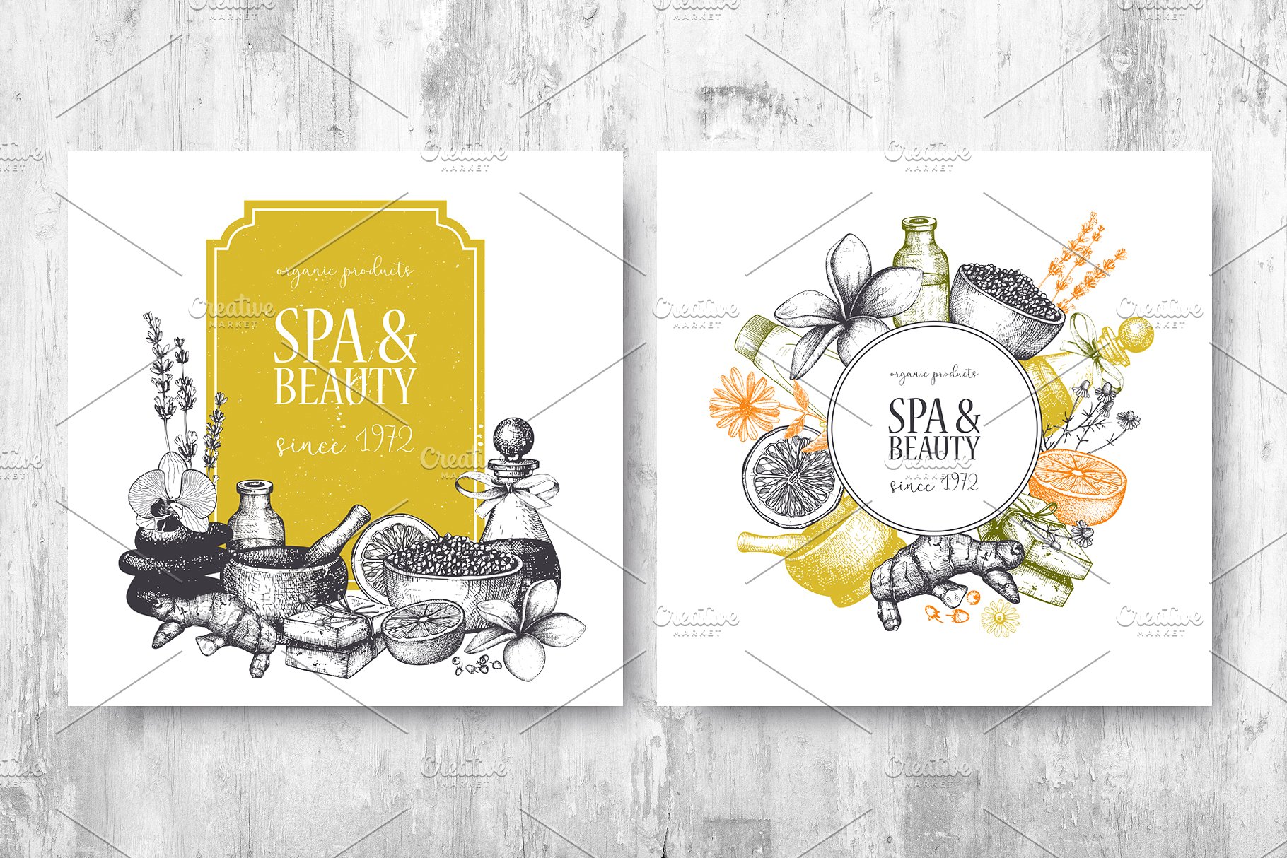 西方美容美妆设计素材 Beauty & SPA Designs Collection插图(5)