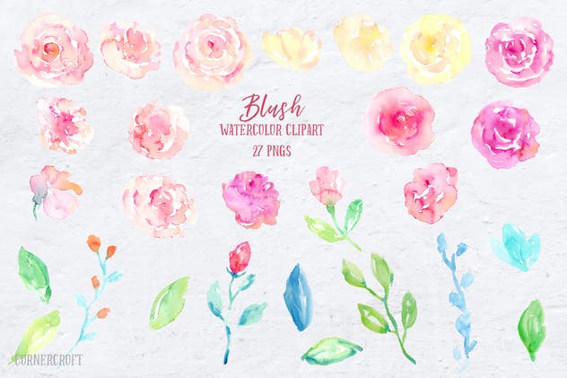 腮红水彩花卉插画合集 Watercolor Collection Blush插图(1)