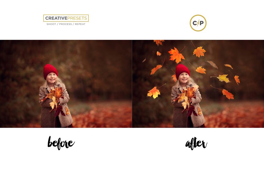 秋季枫叶落叶叠层背景 Falling Leaves Overlays插图(9)