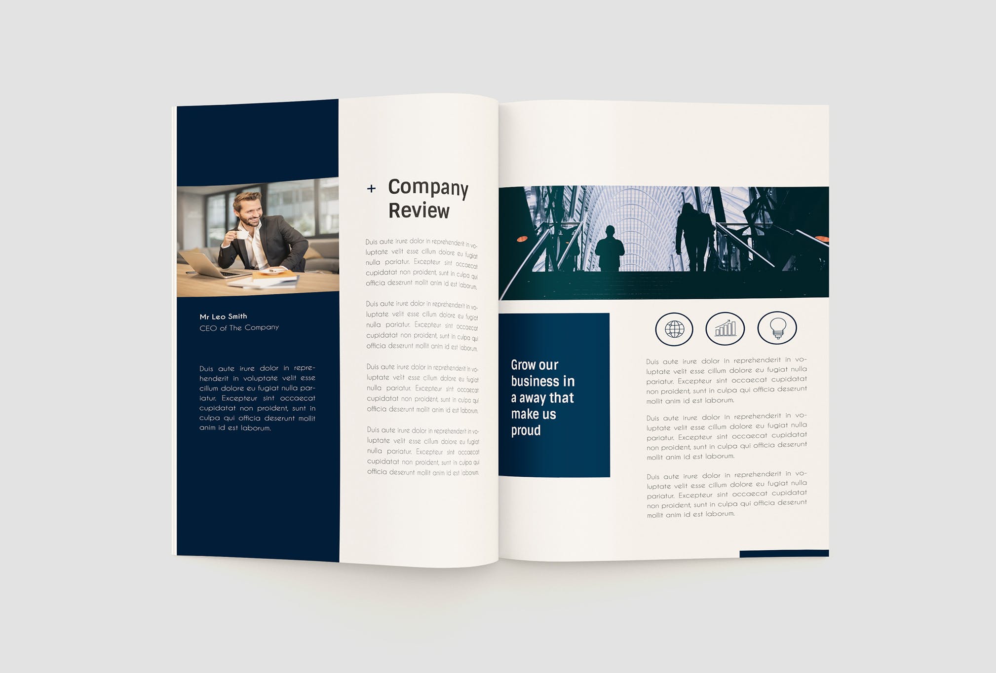 企业年度报告/年终总结报告设计模板 Annual Repot Company Name插图(2)