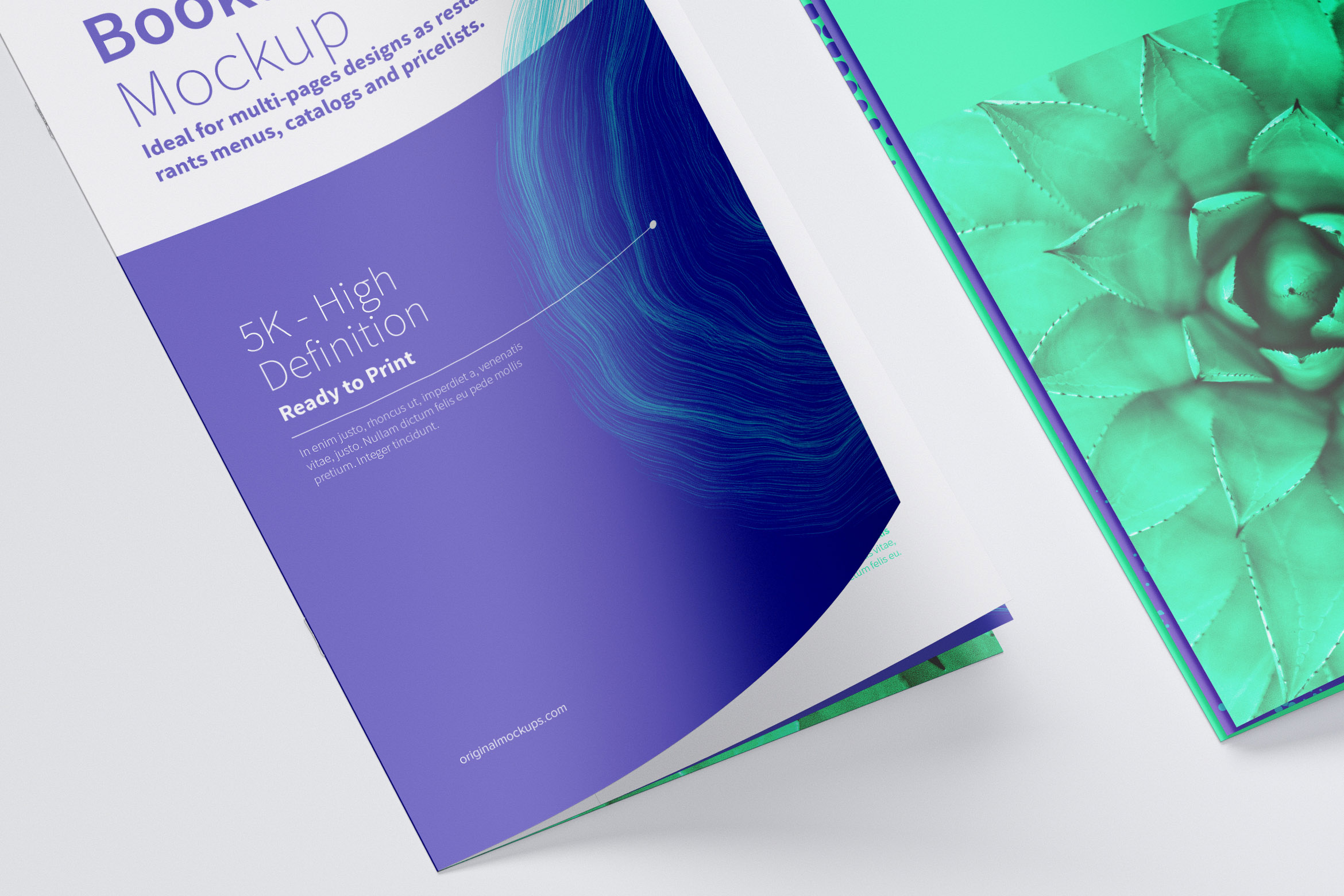 创意小册子折页传单设计图样机模板04 Thin Booklet Mockup 04插图(1)