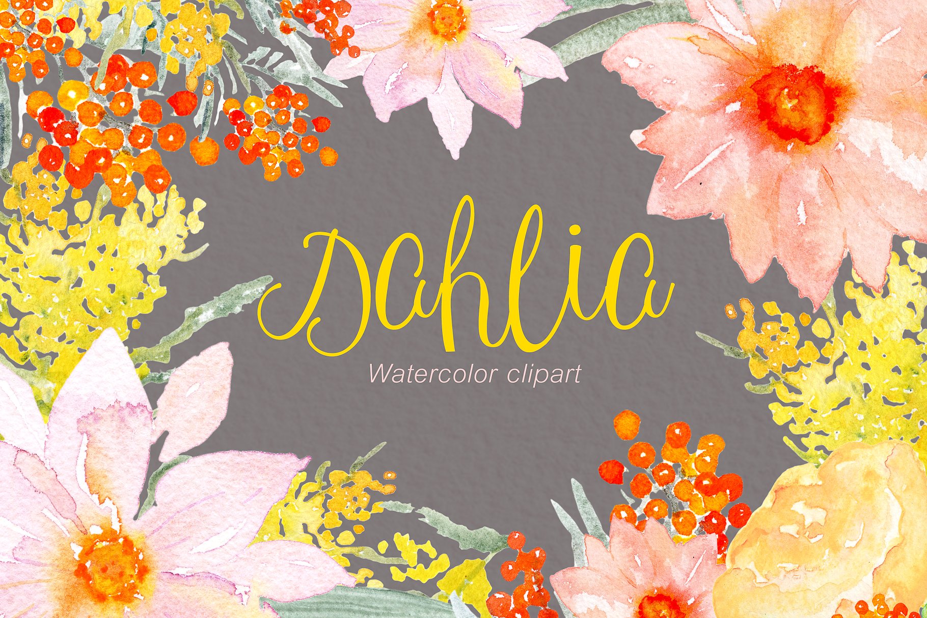 粉红色和橙色天竺牡丹水彩画素材 Pink & orange Dahlia Watercolors插图(1)