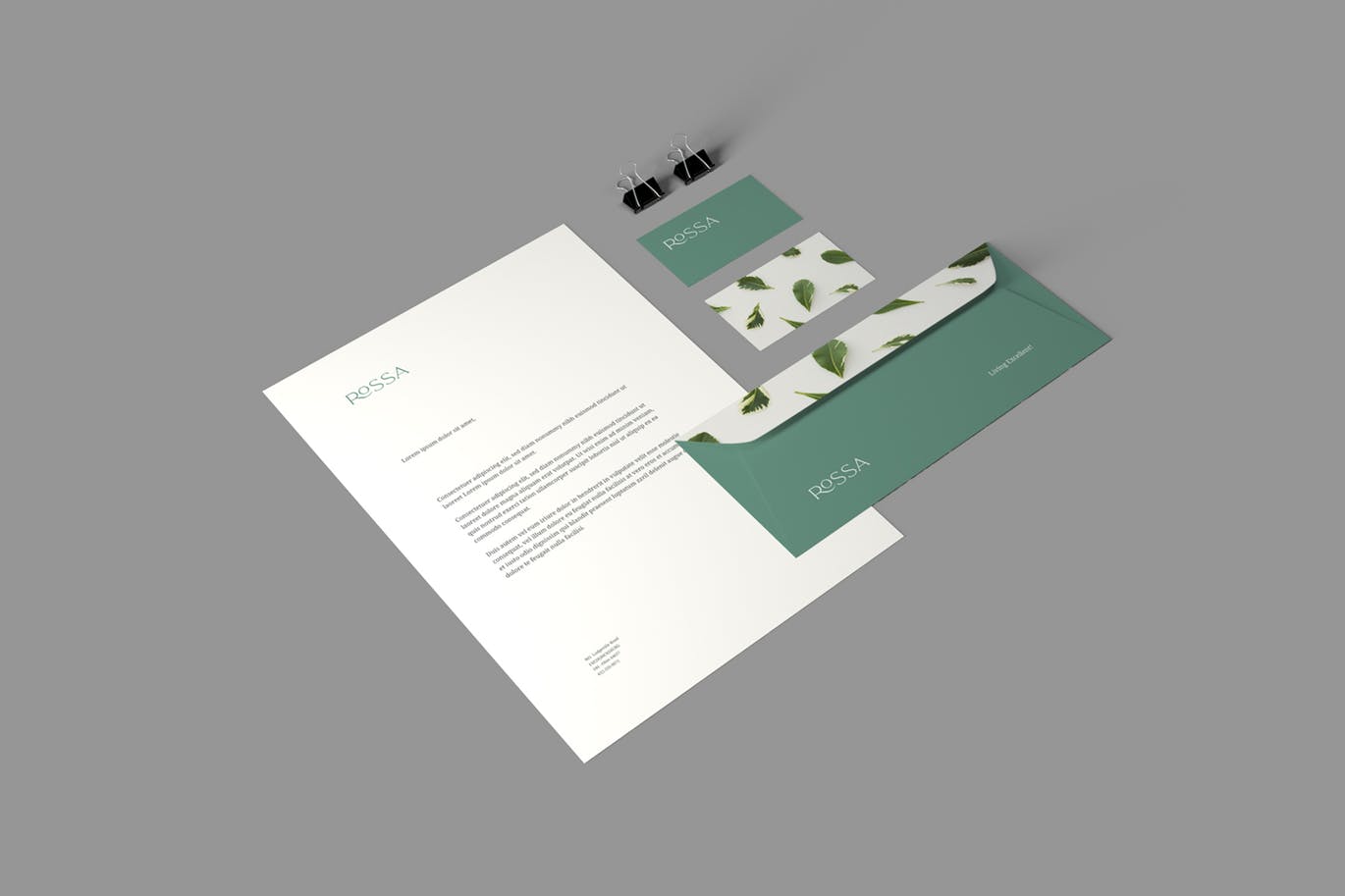 品牌VI体系设计效果图预览样机模板 Branding Stationery Mockups插图(1)