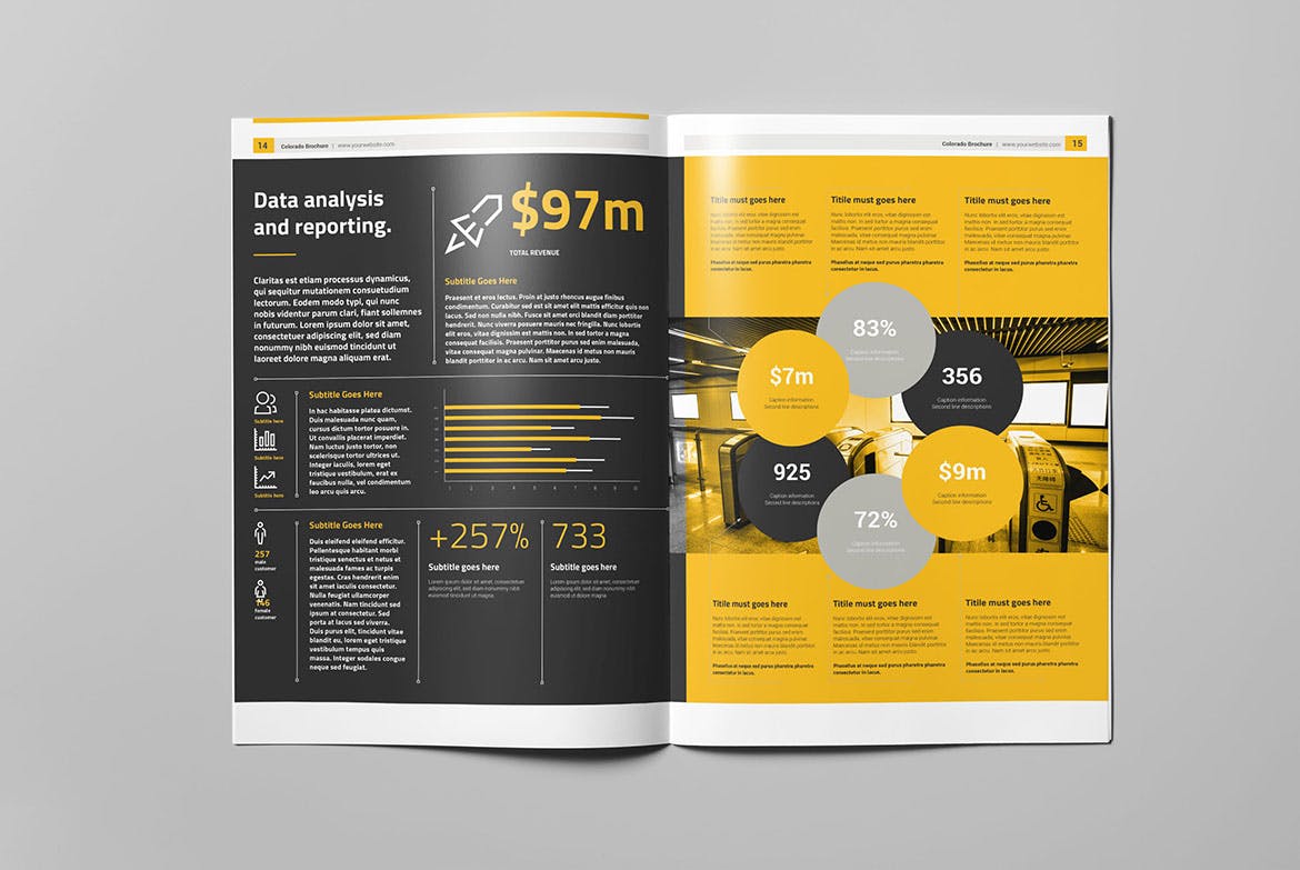 商务企业公司宣传竖版画册设计模板 Colorado Brochure插图(7)